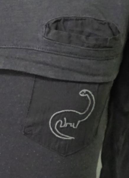 Langarmshirt Gr. 86 von Zara (3315)